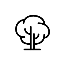 Grupo 20