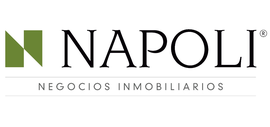 resized_napo